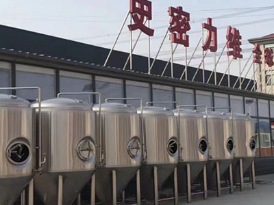 衡阳精酿啤酒设备厂—市场规模与跨界新需求
